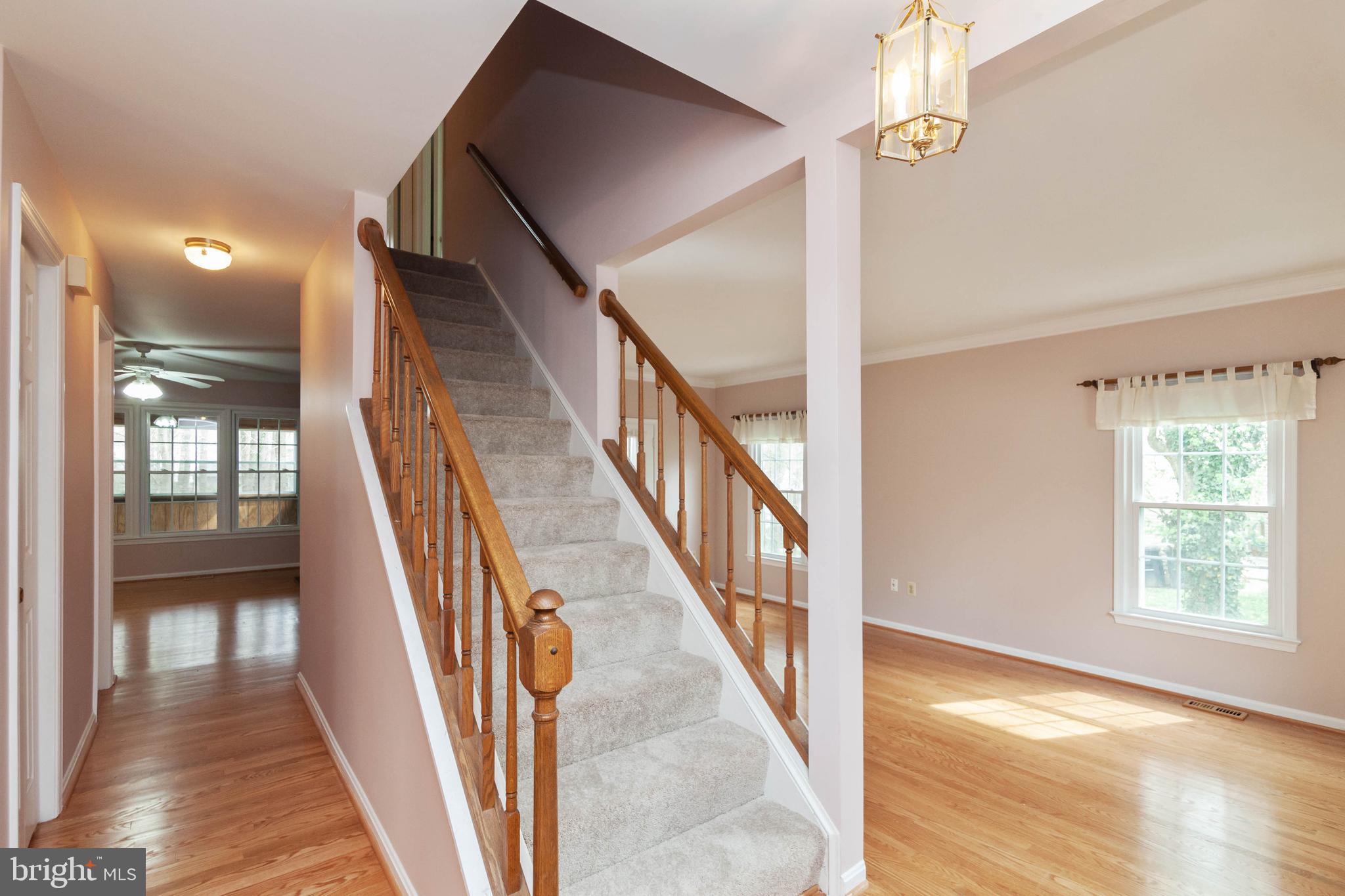 7703 Modisto Lane Springfield, VA 22153 - Photo 4 of 40 Gallery Image 4