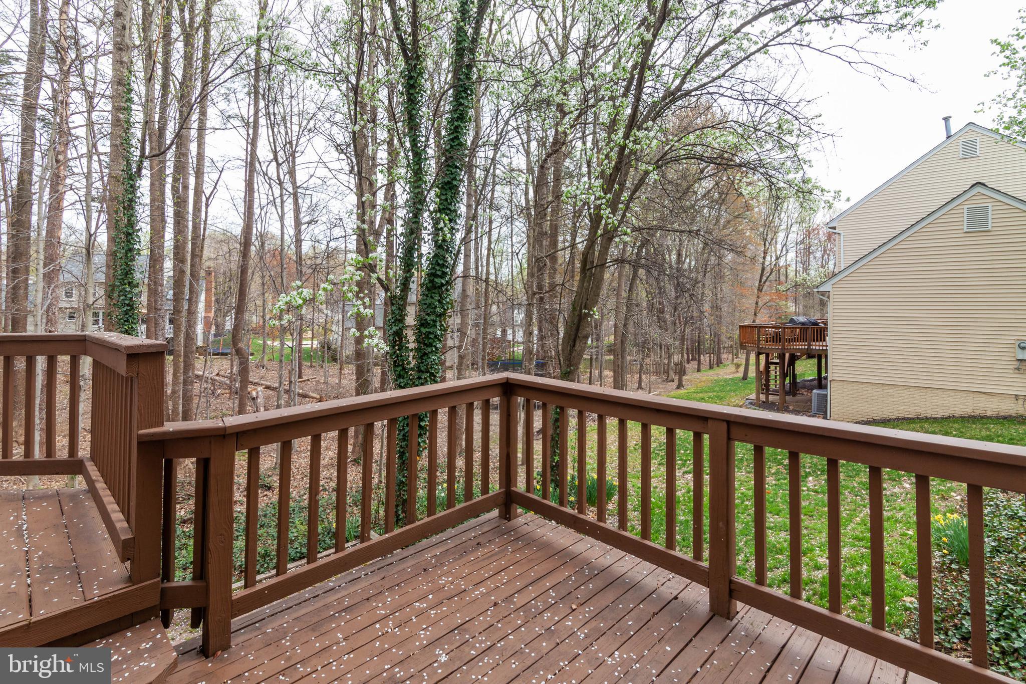 7703 Modisto Lane Springfield, VA 22153 - Photo 38 of 40 Gallery Image 38