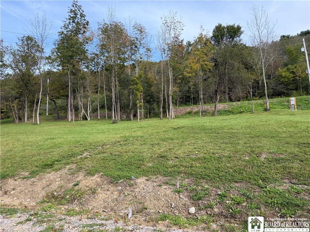 0 Creek Road Cuba, NY 14727 - Photo 15 of 25 Gallery Image 15