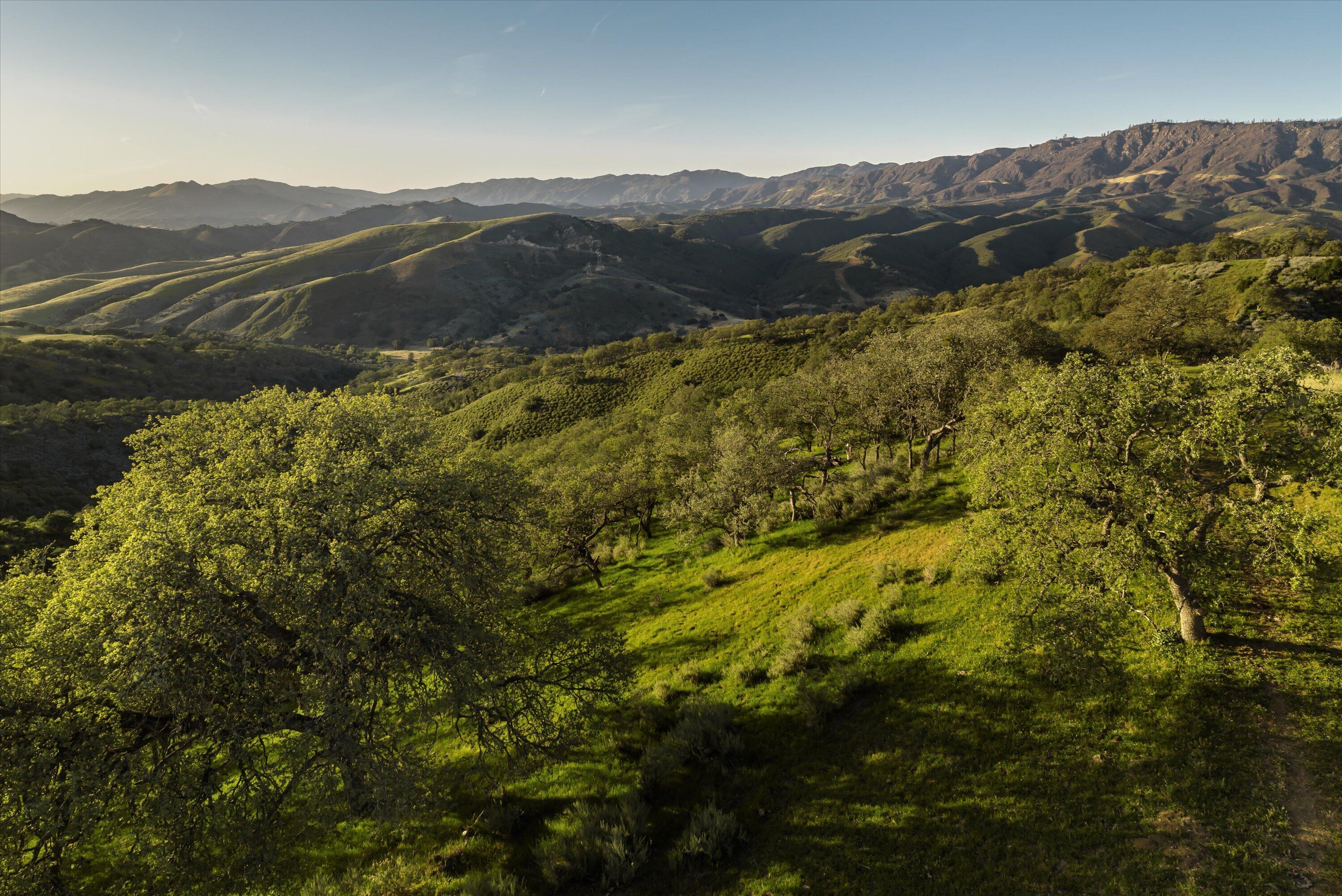 12707 Huasna Road Arroyo Grande, CA 93420 - Photo 67 of 77 a view of a houses with a yard