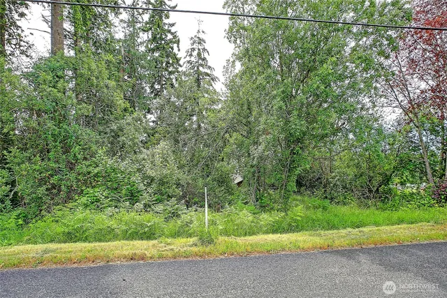 a view of a yard with potted plants
