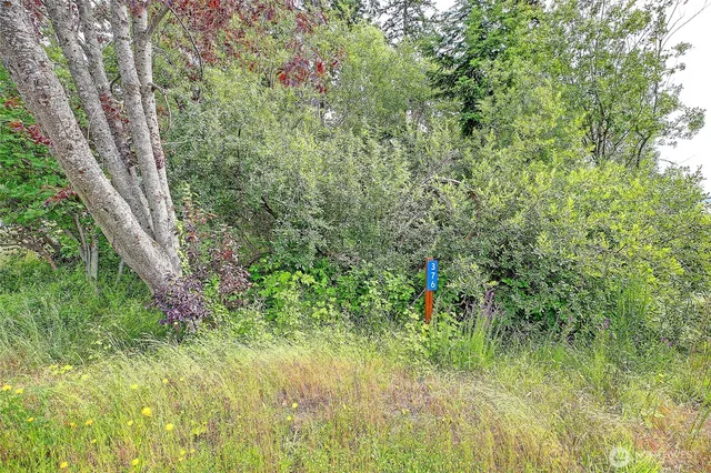 a view of outdoor space and garden