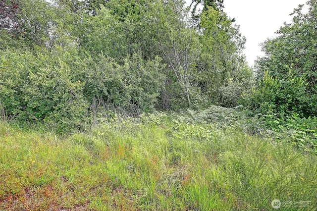 a view of a lush green field