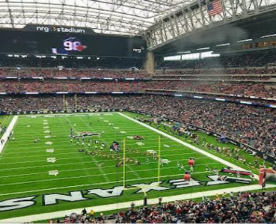 3314 North MacGregor Way, Unit 2 Houston, TX 77004 - Photo 39 of 39 NRG Stadium