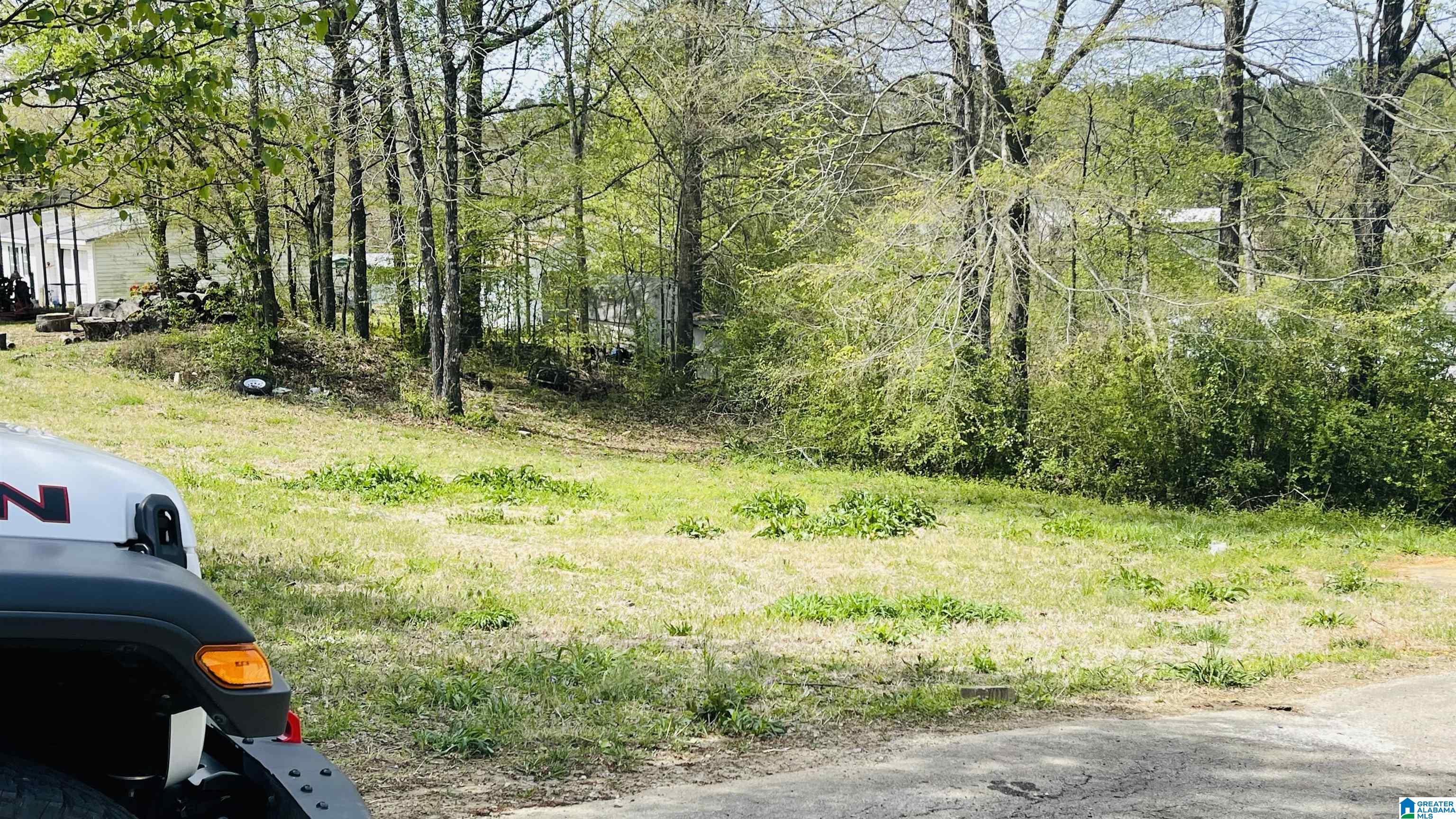 75 Overlook Circle Odenville, AL 35120 - Photo 39 of 40