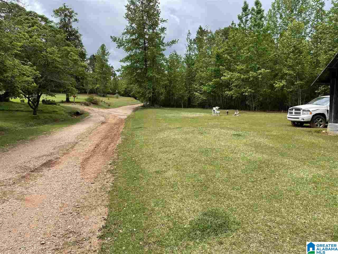 Mountain Road, Unit 16 Daviston, AL 36256 - Photo 5 of 7