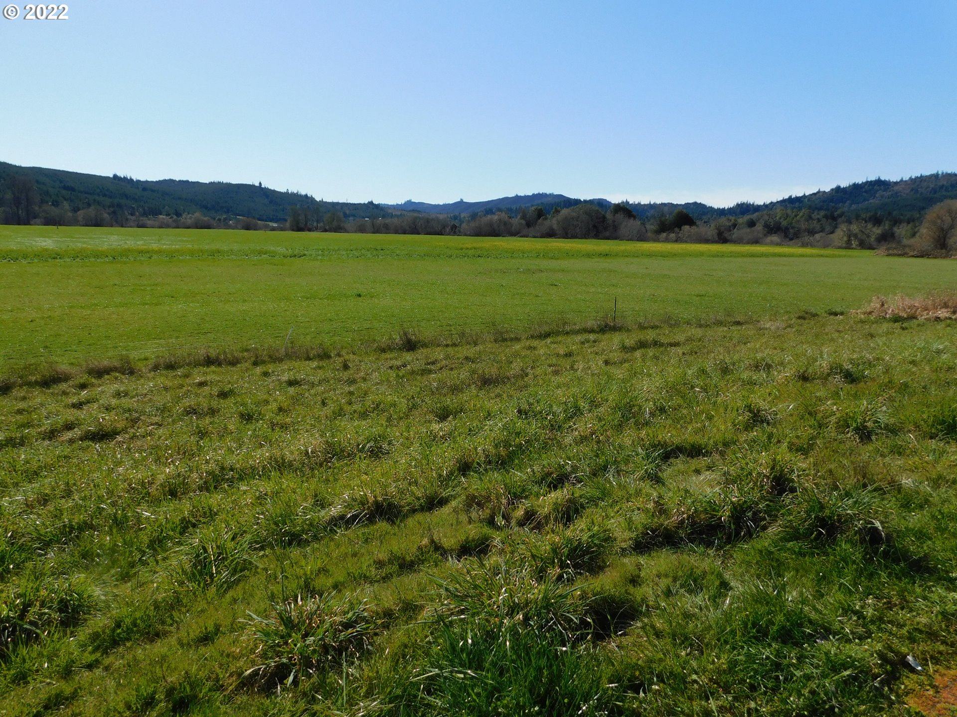 52686 Reedsford Road Myrtle Point, OR 97458 - Photo 30 of 32 Gallery Image 30