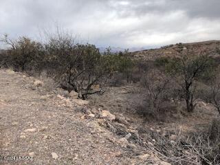 127-129 Circulo Botas, Unit 70 Rio Rico, AZ 85648 - Photo 4 of 5