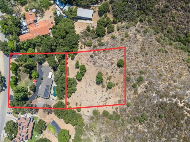 a view of a flower in front of flowers