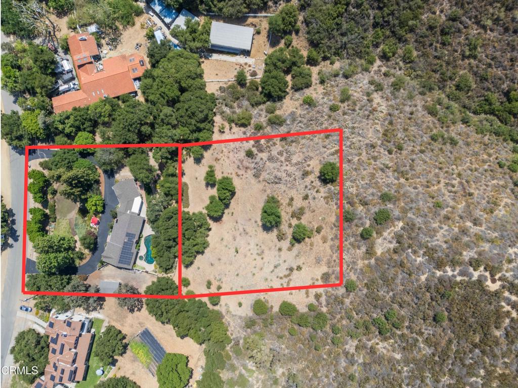 a view of a flower in front of flowers