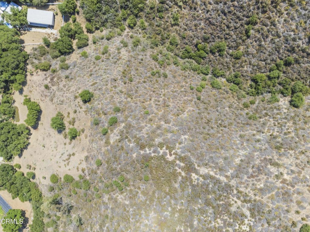 0 Stokes Canyon Road Calabasas, CA 91302 - Photo 6 of 52 a view of a yard with a tree