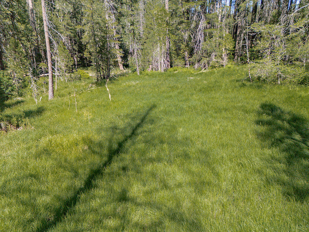 761 Gratten Flat Road Trinity Center, CA 96091 - Photo 34 of 58 DJI_20260514152441_0086_D