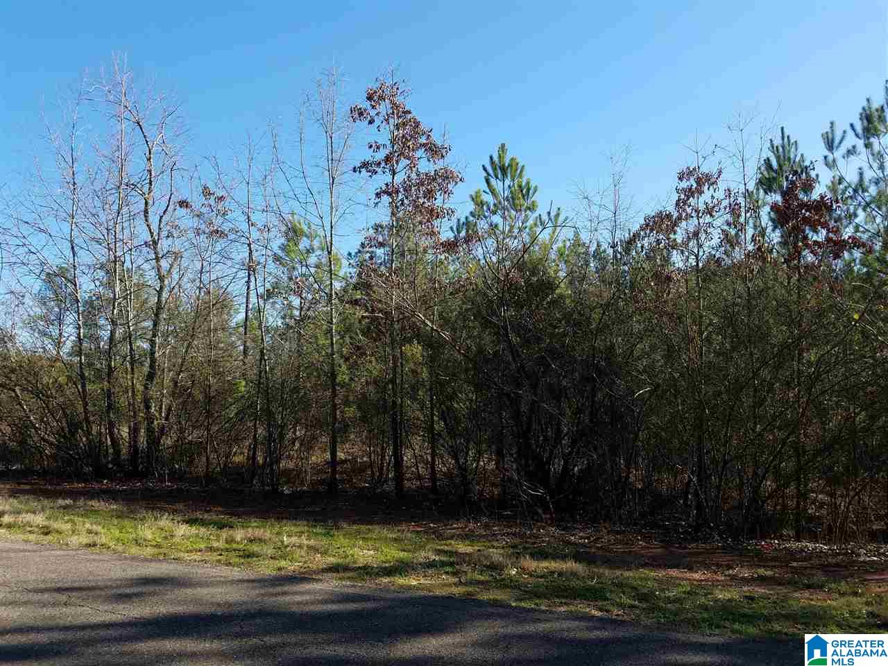 0 Cove Access Road, Unit 7 ACRES Talladega, AL 35160 - Photo 10 of 19