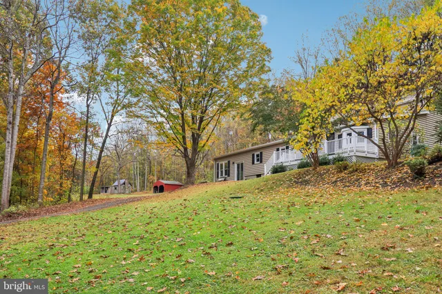 a view of a yard with plants and trees