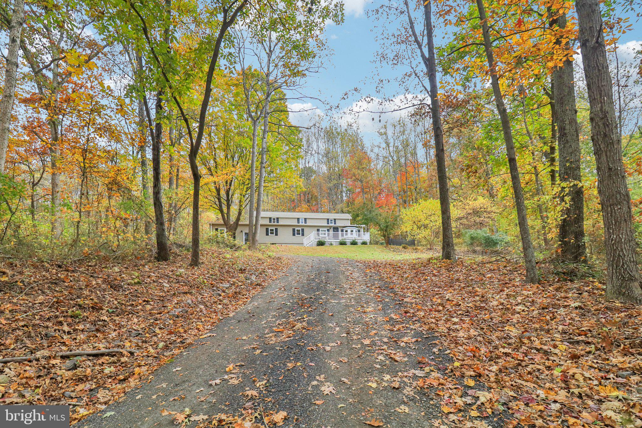 9830 Wineberry Road Marshall, VA 20115 - Photo 6 of 105