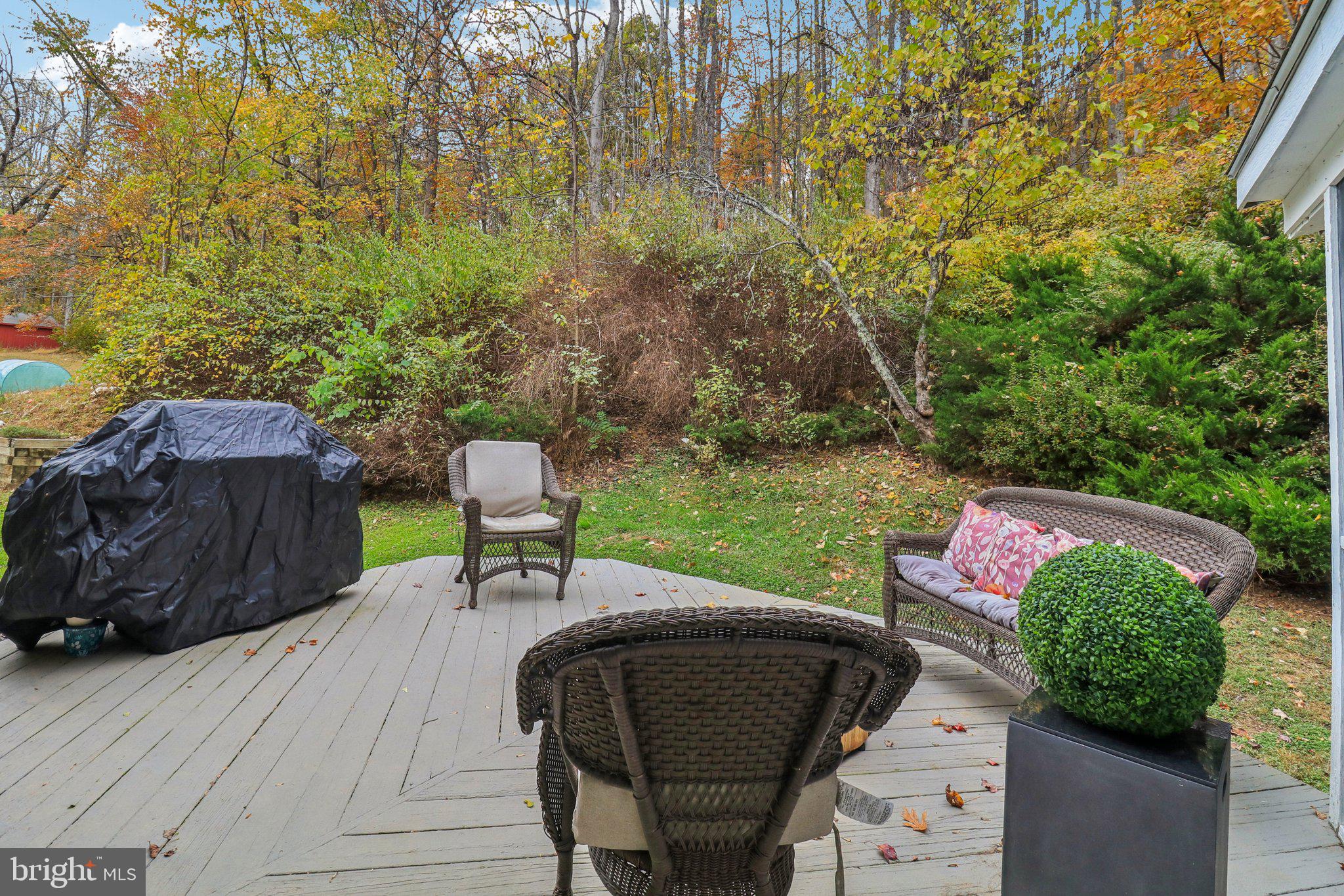 9830 Wineberry Road Marshall, VA 20115 - Photo 77 of 105