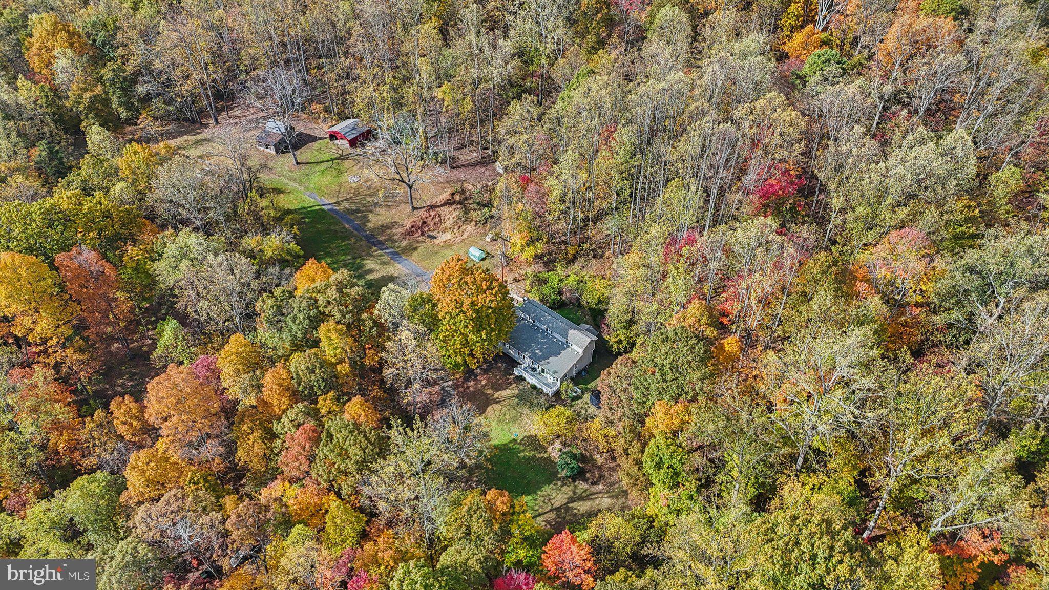 9830 Wineberry Road Marshall, VA 20115 - Photo 92 of 105