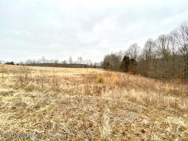 11000 Anneta Road Leitchfield, KY 42754 - Photo 9 of 34 field 3