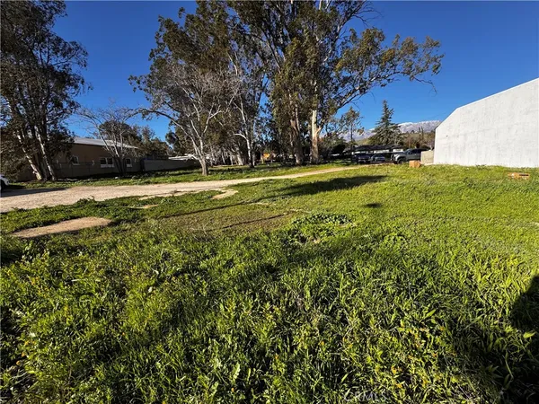 a view of yard with green space