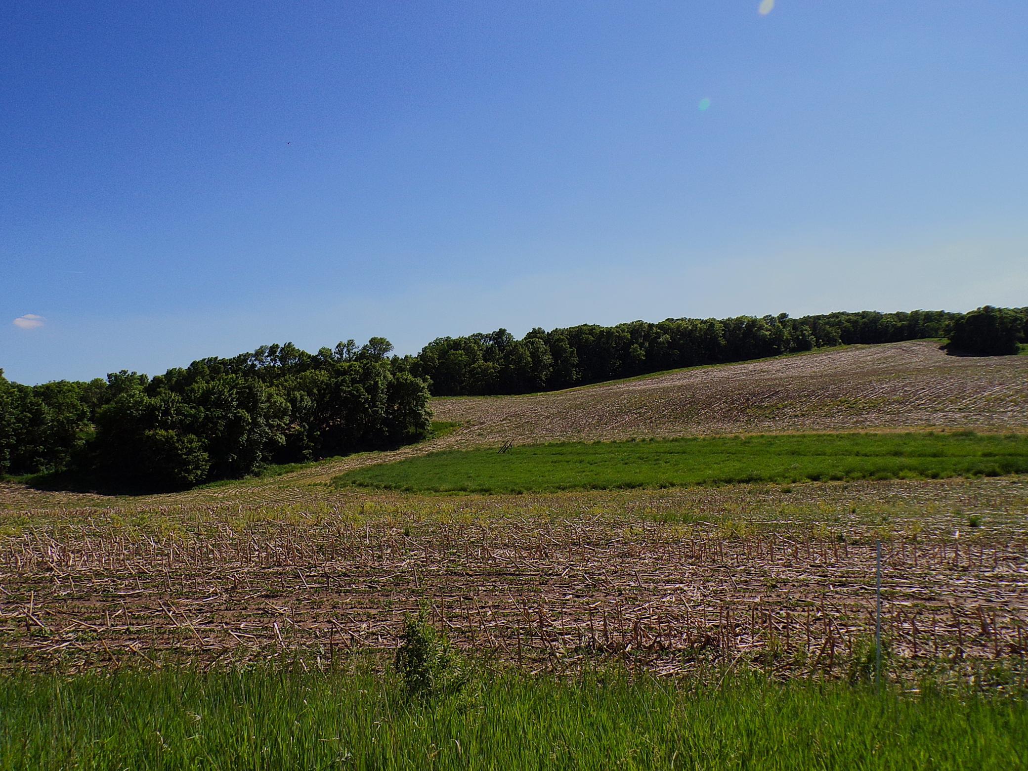 4199 Andes Road Southwest Kensington, MN 56343 - Photo 29 of 57