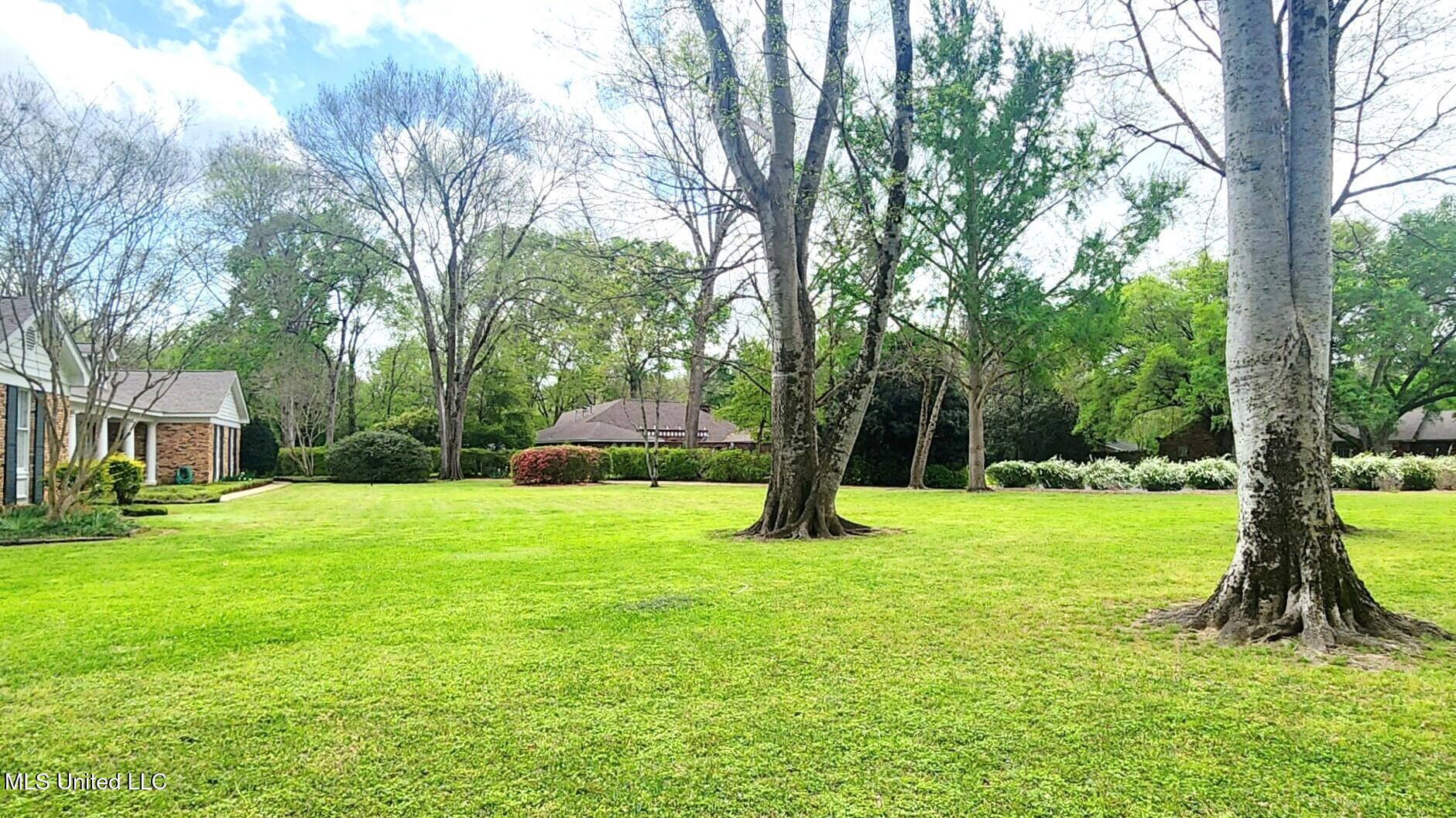 305 Creek Bend Road Natchez, MS 39120 - Photo 14 of 84 305 new 8