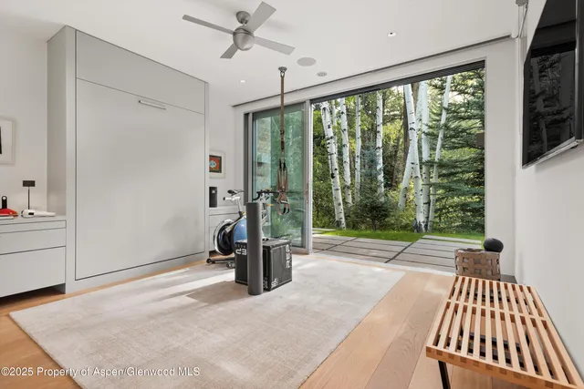 $24,750,000 | 1180 Black Birch Drive, Aspen, CO 81611