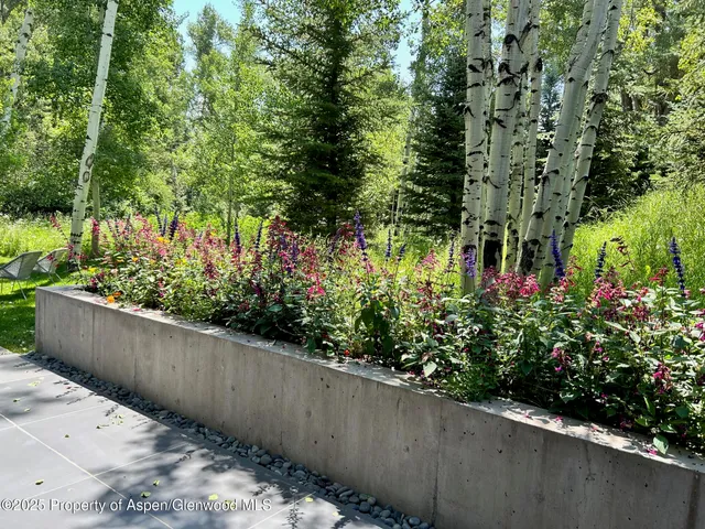 $24,750,000 | 1180 Black Birch Drive, Aspen, CO 81611