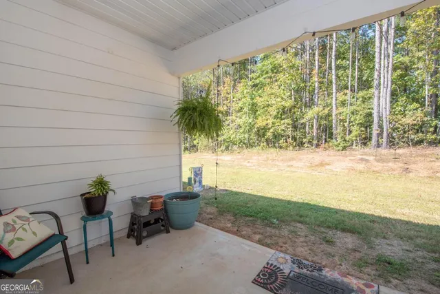 a view of a backyard with plants and a lawn chairs