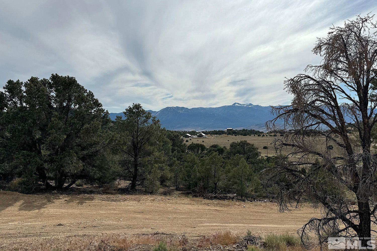 330 East 5 Mile Road, Unit 33 Reno, NV 89521 - Photo 13 of 15 a view of a dry yard with trees