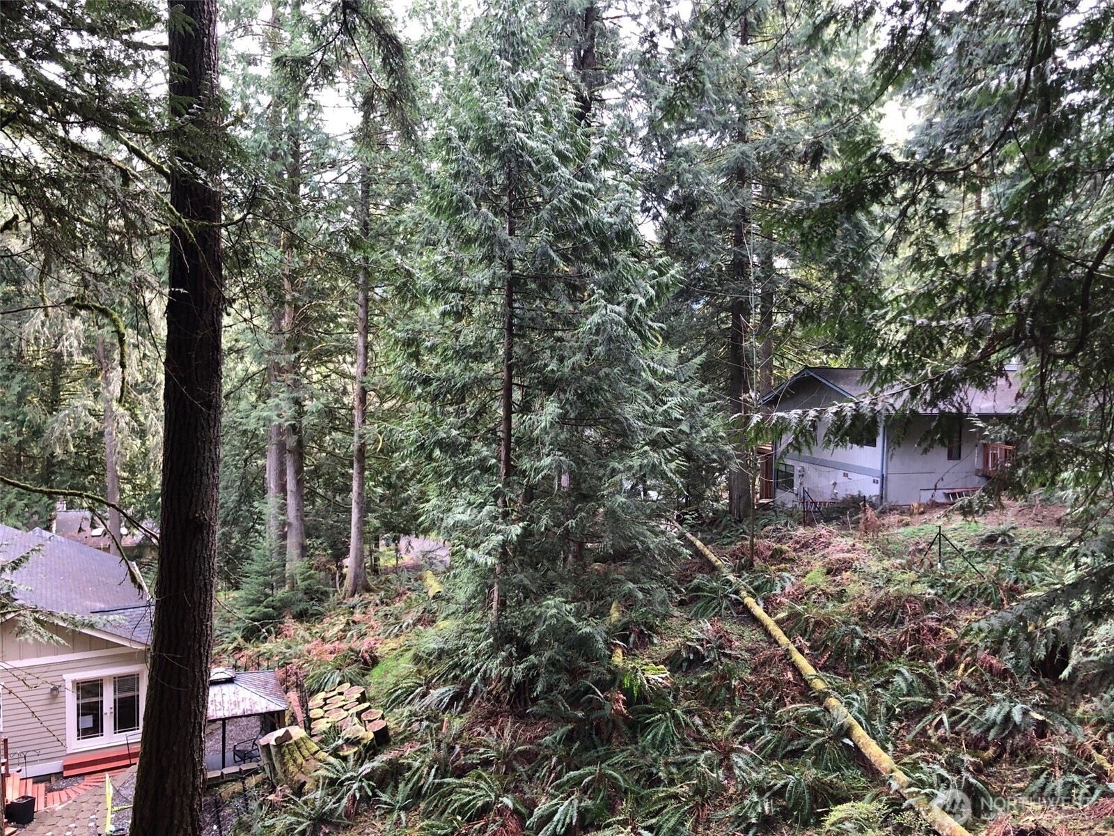 26 Jasper Ridge Lane Bellingham, WA 98229 - Photo 3 of 3 a view of a house with a tree
