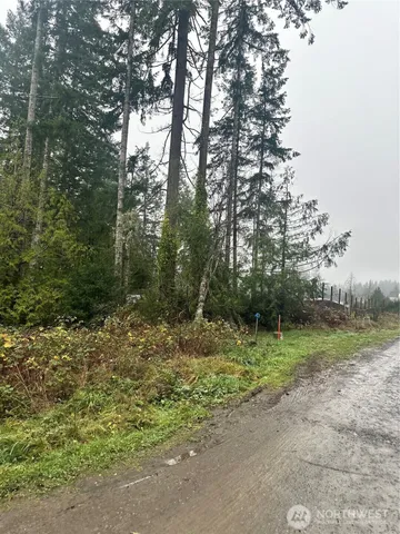 a view of a field with trees in the background