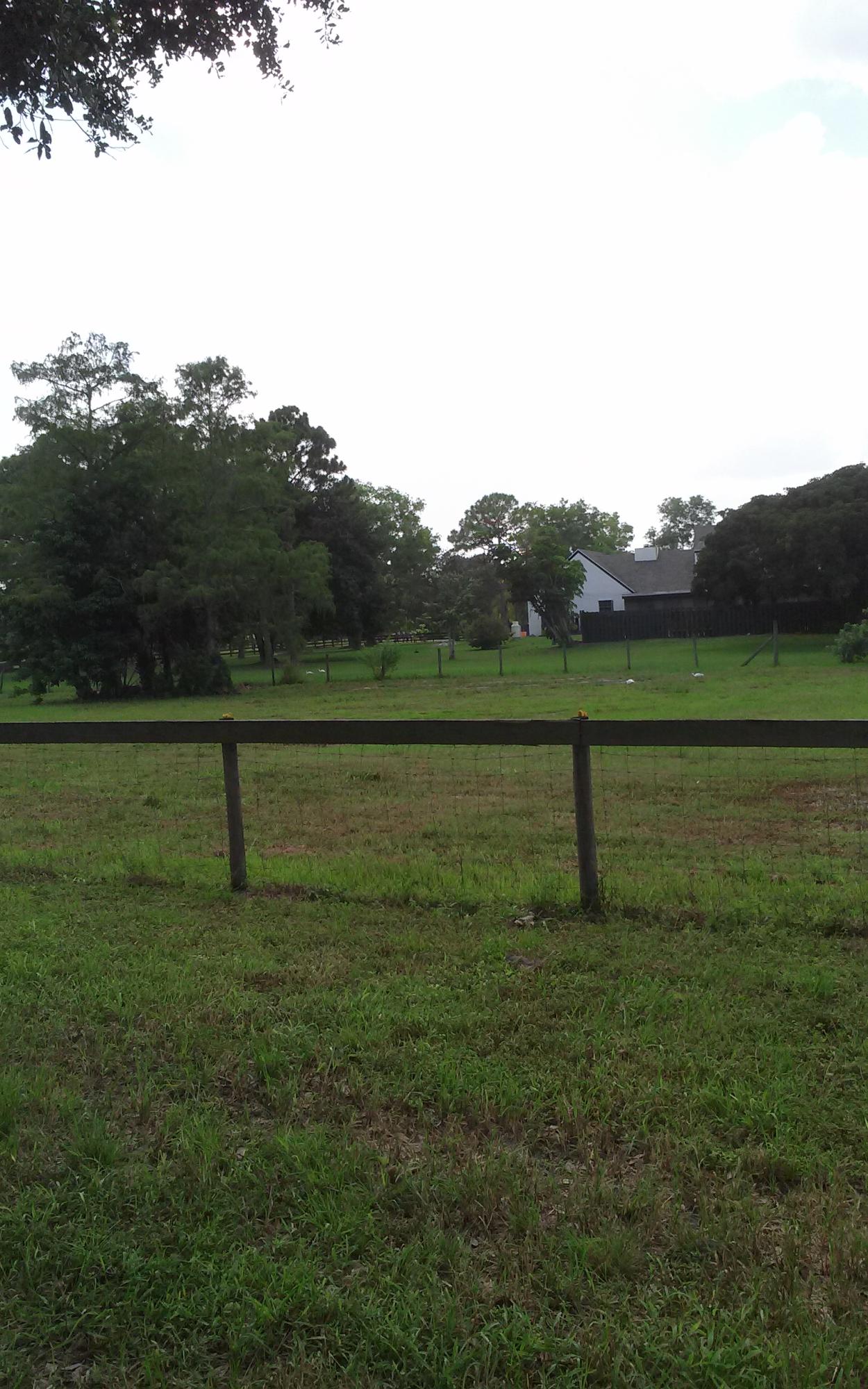 10793 58th Road South Lake Worth, FL 33449 - Photo 9 of 23 CAM00059