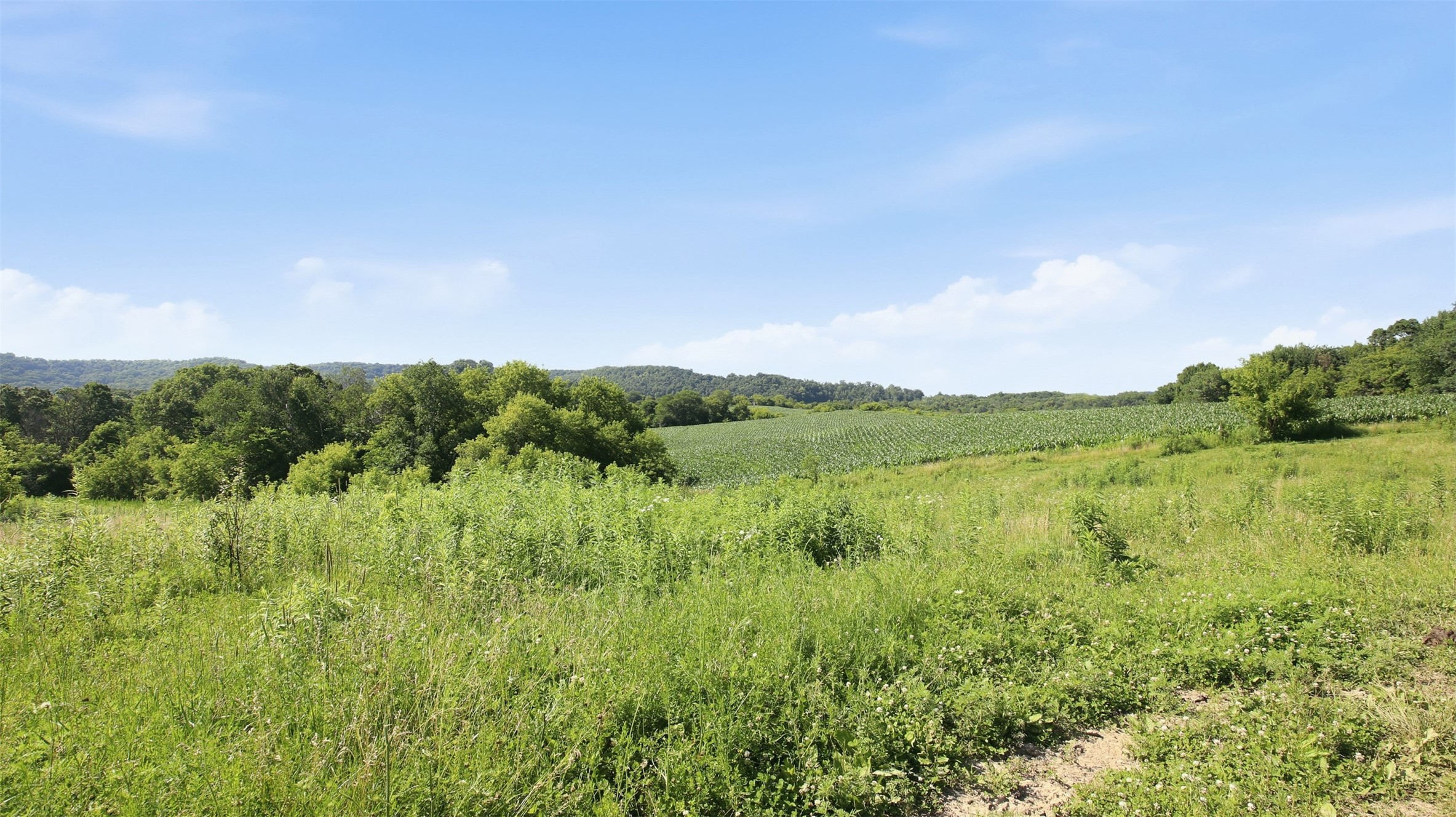 N44681 Hawkenson Valley Road Eleva, WI 54738 - Photo 42 of 55