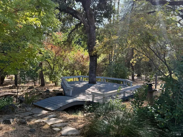 a view of a tree in a yard