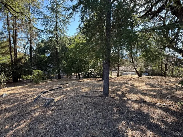 a front view of house with yard