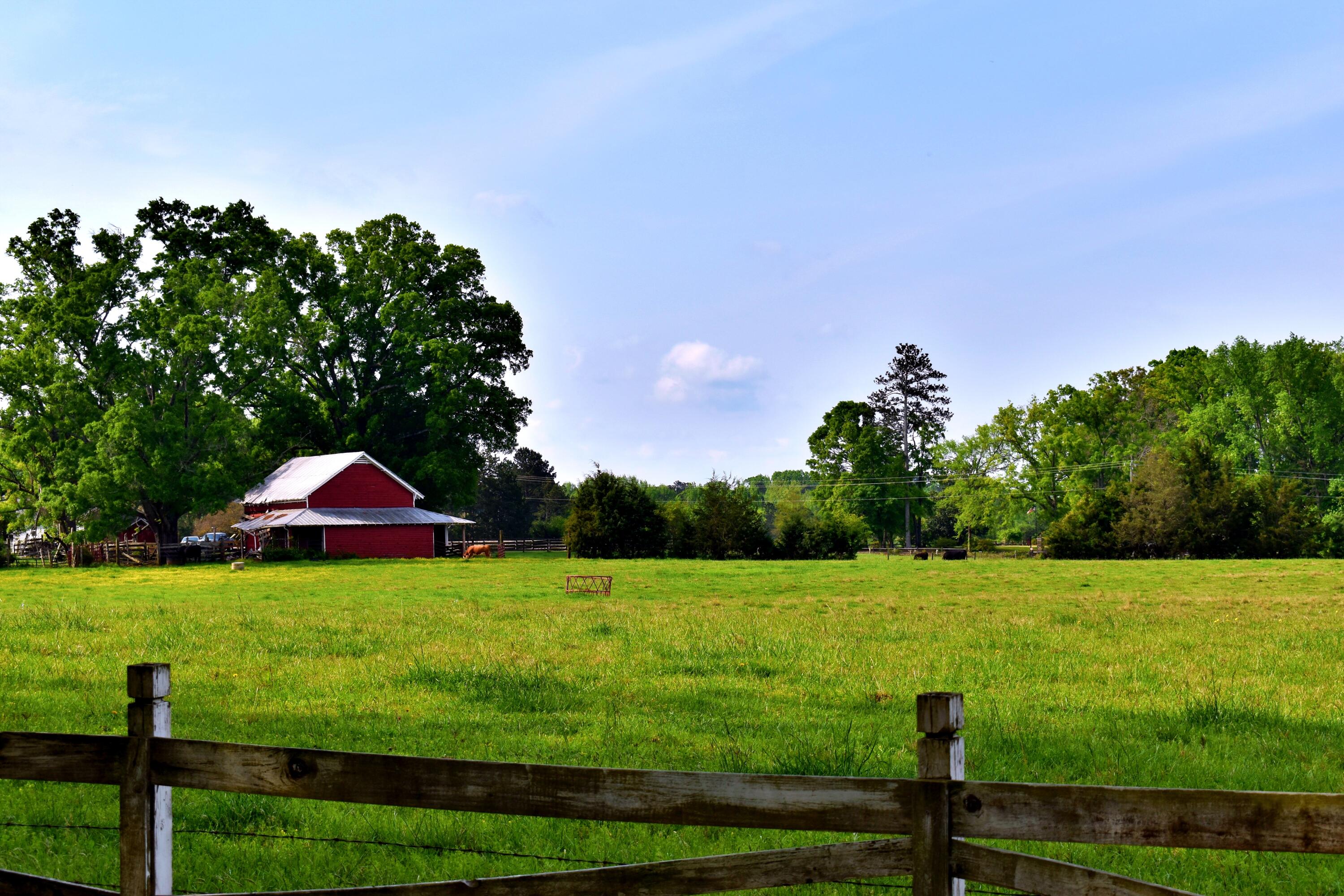 450 State Rd S-24-322 Greenwood, SC 29649 - Photo 1 of 7