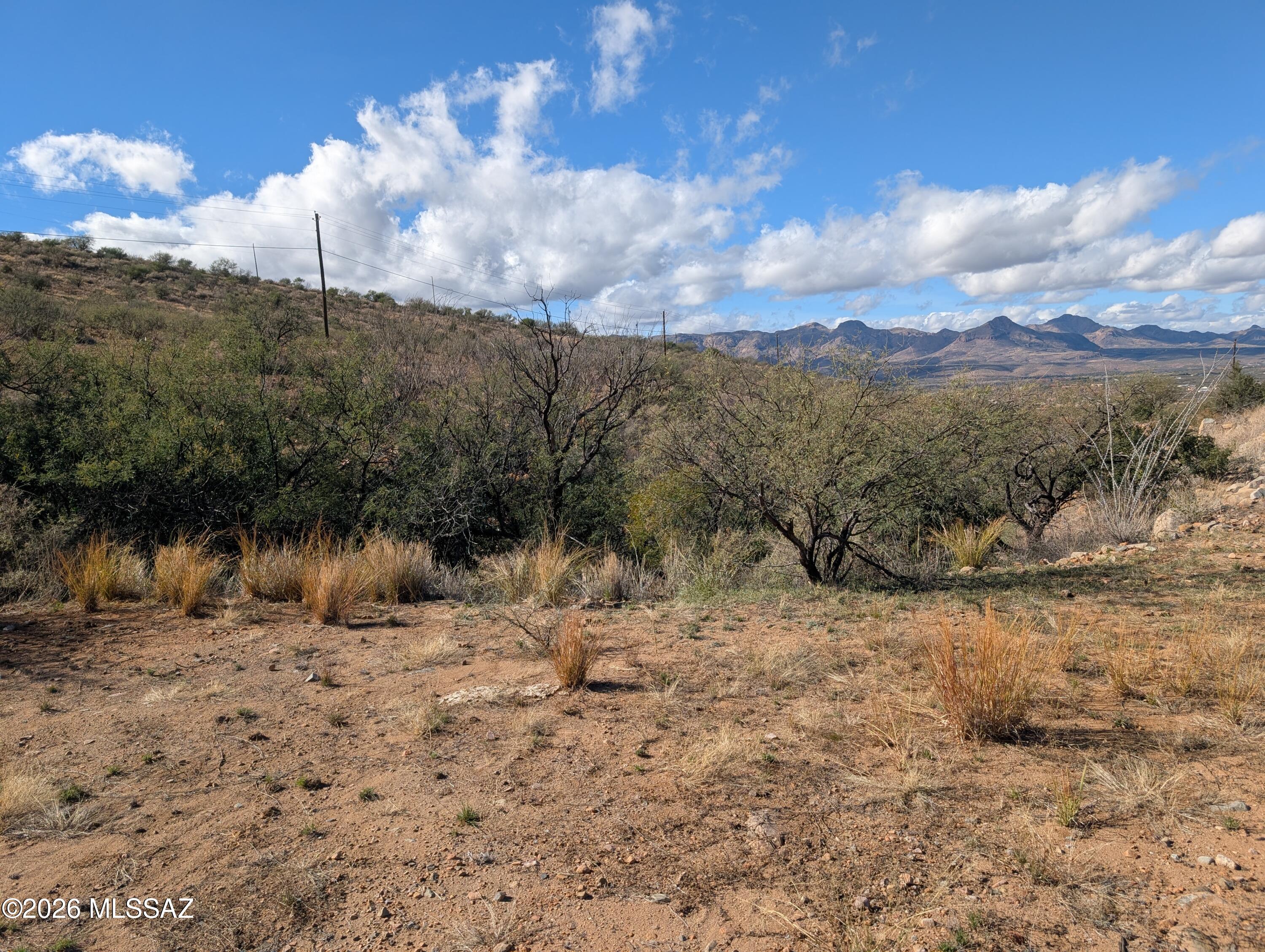 1632 Boquete Court, Unit 26 Rio Rico, AZ 85648 - Photo 2 of 8 PXL_20260102_195024438