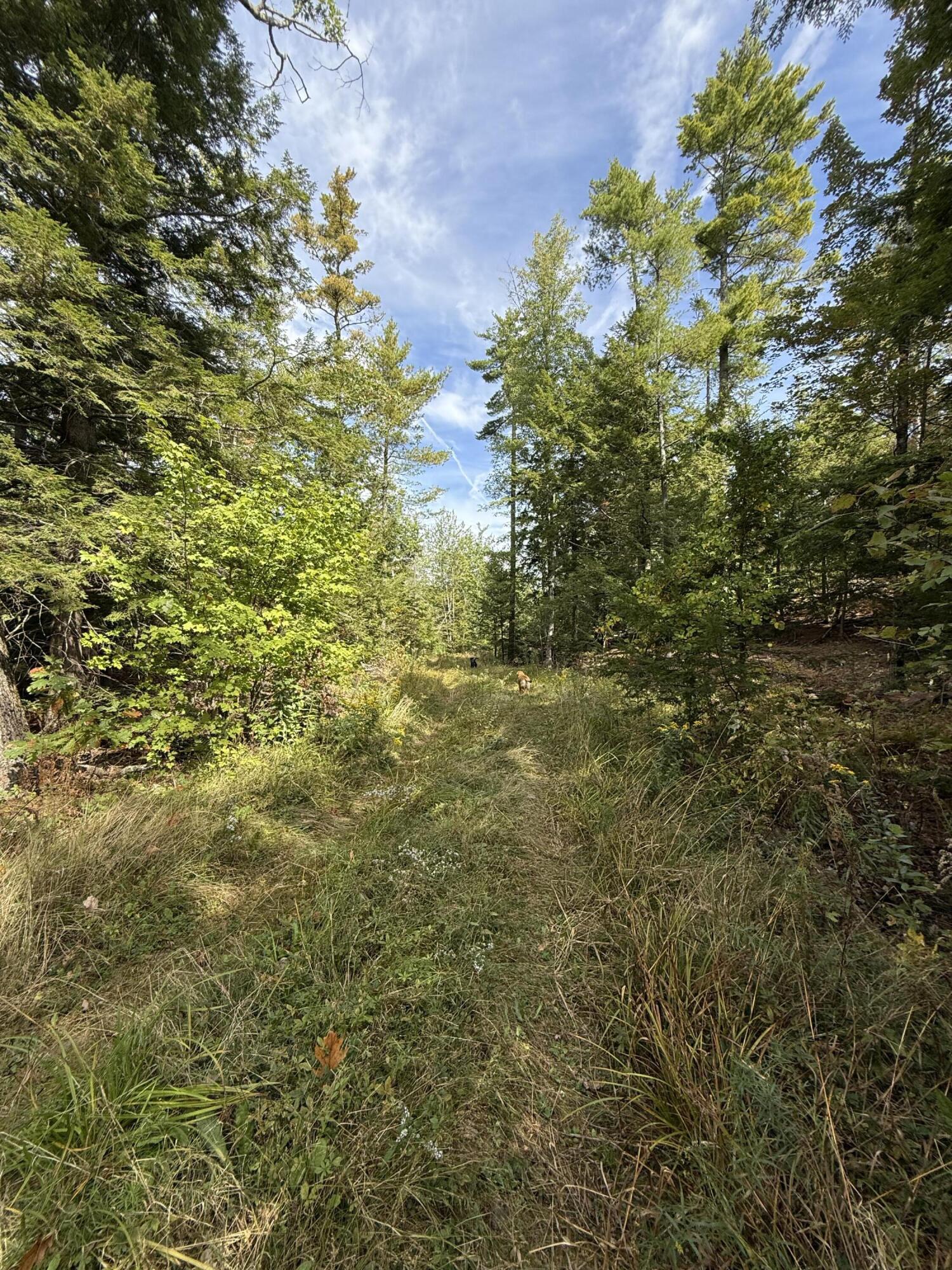 108-2 Stevens Pond Road Liberty, ME 04949 - Photo 1 of 10 IMG_0063