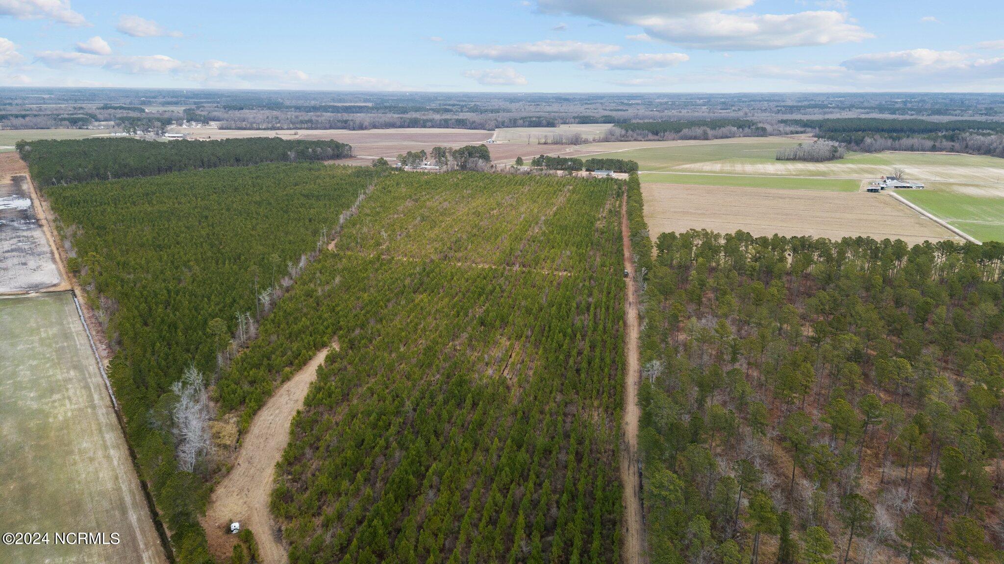 0 Lloyd Corey Road Stokes, NC 27884 - Photo 12 of 21 21-web-or-mls-DJI_20240123115205_0081_D