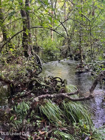 $220,000 | Tanner Williams Road, Lucedale, MS 39452