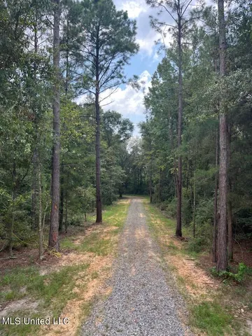 $220,000 | Tanner Williams Road, Lucedale, MS 39452