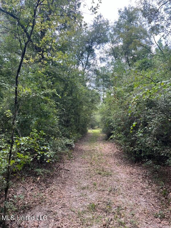 Tanner Williams Road Lucedale, MS 39452 - Photo 6 of 11 IMG_5601