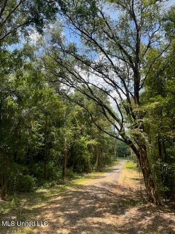 $220,000 | Tanner Williams Road, Lucedale, MS 39452