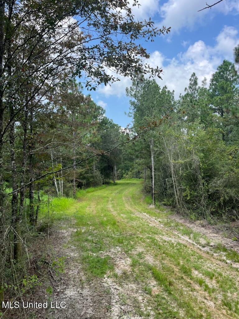 Tanner Williams Road Lucedale, MS 39452 - Photo 8 of 11 IMG_5596