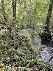 $220,000 | Tanner Williams Road, Lucedale, MS 39452