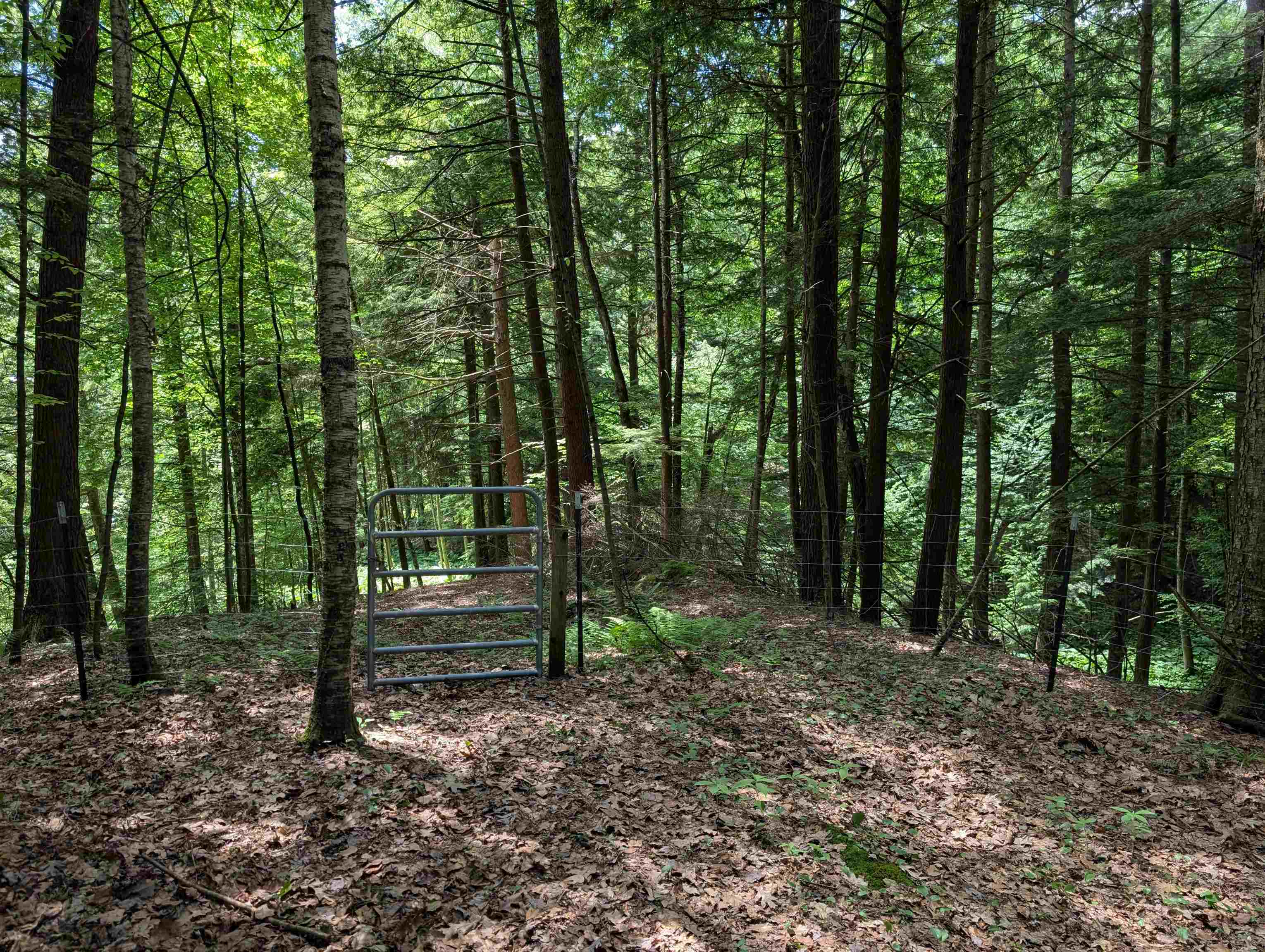 315 Rte 4a West Castleton, VT 05735 - Photo 40 of 58