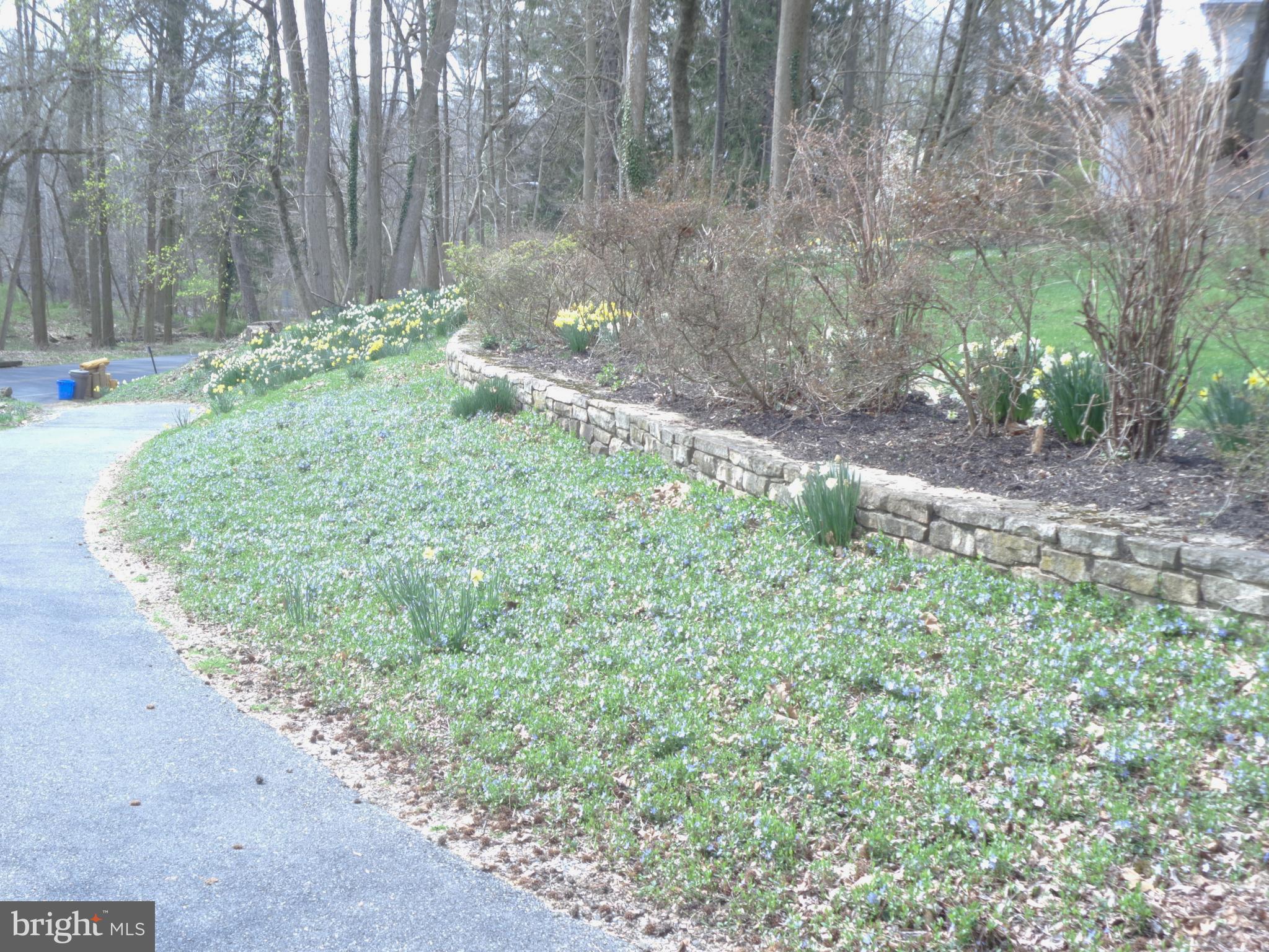 3409 River Road Reading, PA 19605 - Photo 35 of 41 a backyard of a house with lots of green space