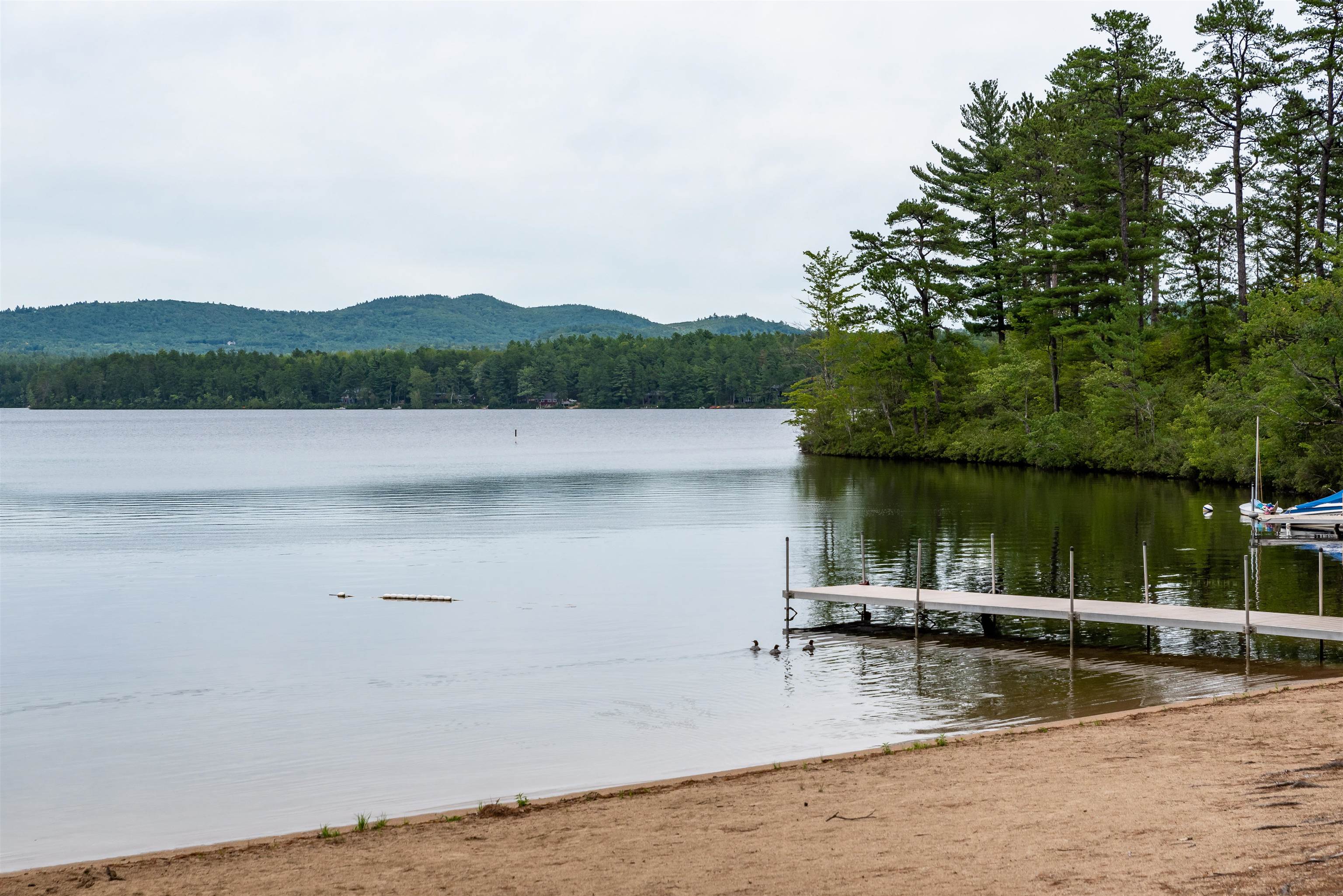 93 Woodland Road Madison, NH 03875 - Photo 31 of 31 Gallery Image 31
