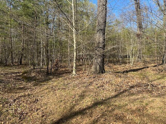 35310 Geiger Road Logan, OH 43138 - Photo 11 of 56 IMG_8841