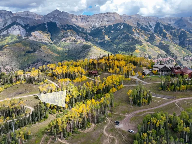 a view of a yard with plants and large trees